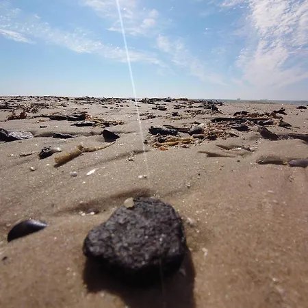 Nyaraló 5 Person In Skagen-by Traum