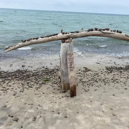 Nyaraló 5 Person In Skagen-by Traum *