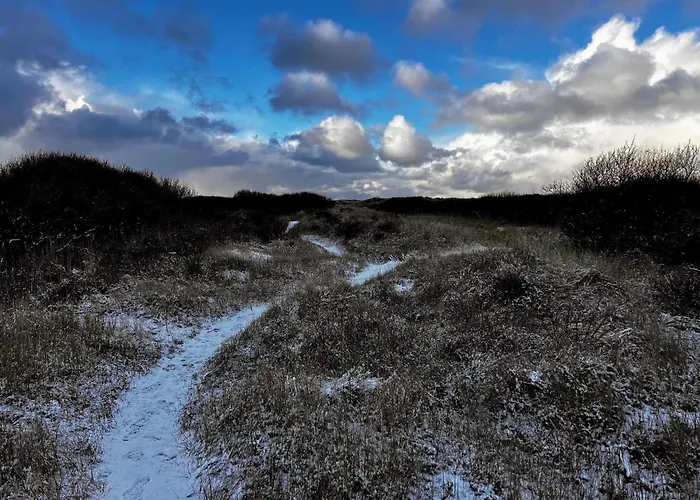 5 Person In Skagen-by Traum Σπίτι διακοπών *